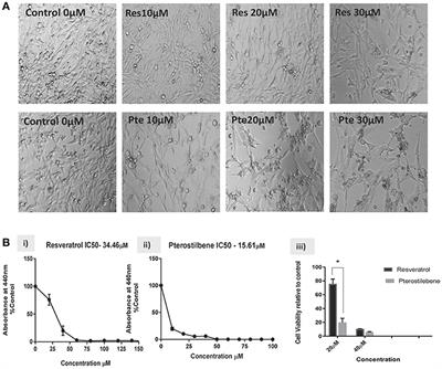 Dietary Polyphenols, Resveratrol and Pterostilbene Exhibit Antitumor Activity on an HPV E6-Positive Cervical Cancer Model: An in vitro and in vivo Analysis